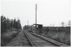 Backen HP 001.jpg