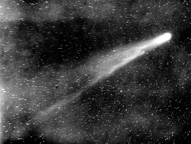 Fil:Halley's Comet, 1910.JPG