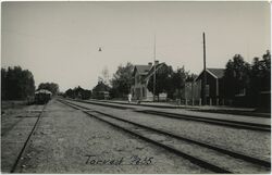 Torved_001.jpg
