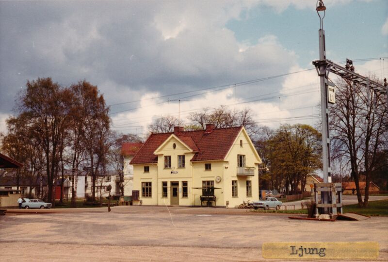 Fil:Ljung 002.jpg