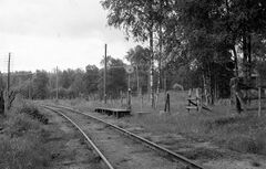 Fröböke 001.jpg