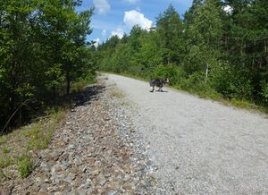 Stäksön banvall 2014.jpg