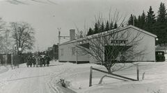 Alsike HP 001.jpg