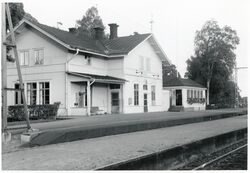Orrskog_001.jpg