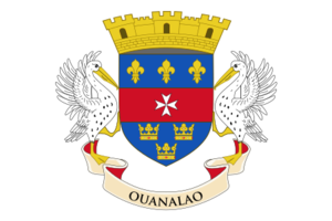 Flag of Saint Barthelemy (local).svg