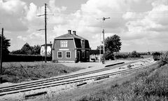 Listershuvud 001.jpg